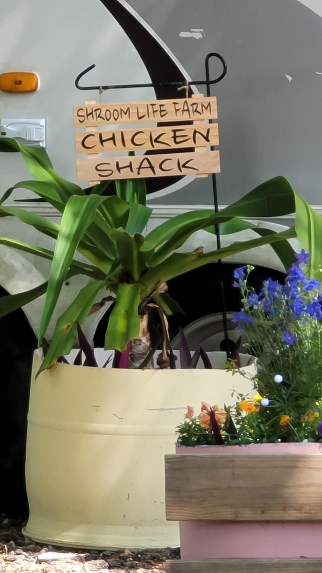 Shroom Life Farm Chicken Shack North Fort Myers Exterior foto