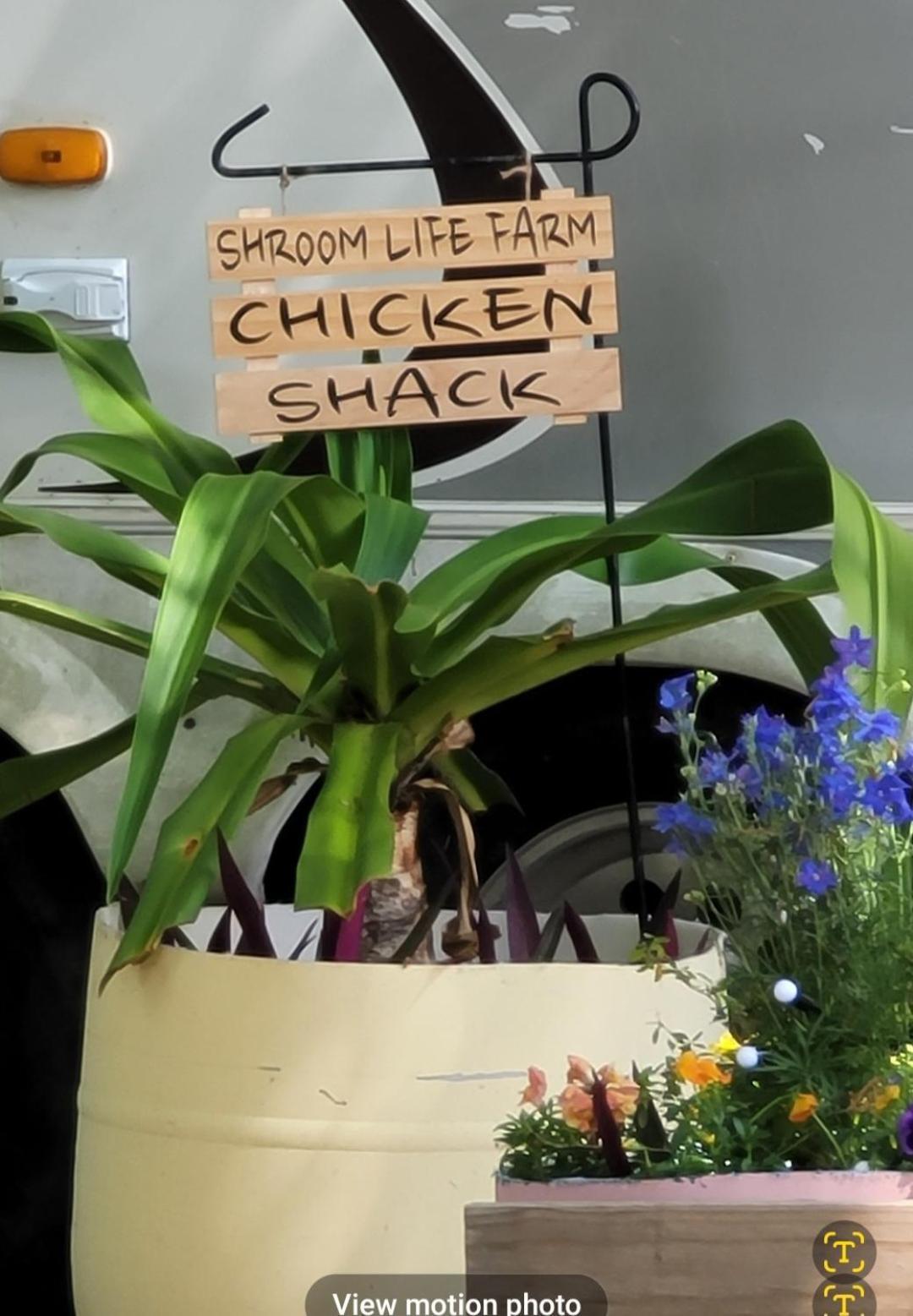 Shroom Life Farm Chicken Shack North Fort Myers Exterior foto